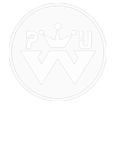 聚氨酯PU發(fā)泡