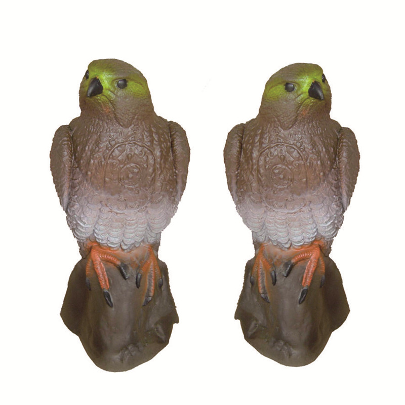 硬泡鳥 硬泡鳥